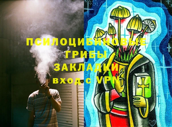 МДПВ Белокуриха