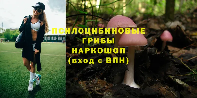 Галлюциногенные грибы MAGIC MUSHROOMS  сколько стоит  Томск 